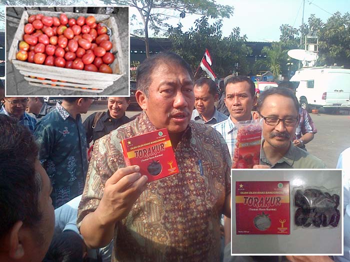 Spudnik Sudjono Promosikan `Torakur` Demi Petani Tomat